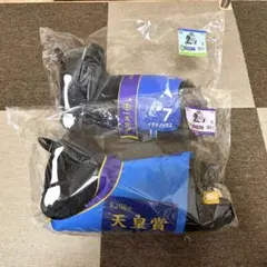 タイトーくじHORSE HEROES A賞 LH賞 イクイノックス　2点セット