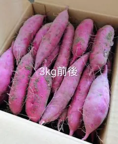 新鮮杏梅 あんず 豊後梅大サイズ 各1キロ 約2キロ位梱包材込み - メルカリ