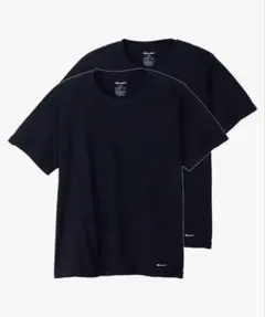 Champion Tシャツ 半袖 2枚組 綿100％ スクリプトロゴ 2P