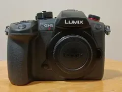 2026年最新】lumix gh4 レンズの人気アイテム - メルカリ