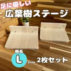 たかぽんた様 リクエスト 2点 まとめ商品