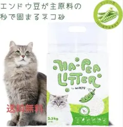 Item thumbnail for item f27e3674-65bd-4620-8f53-29114a702a28