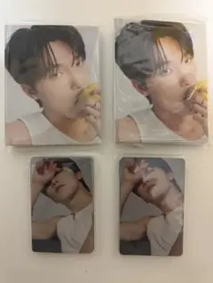 Seventeen 17 is right here dear盤　ディノ　×2