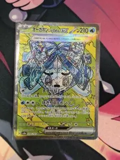 オーガポンいどのめんex sar