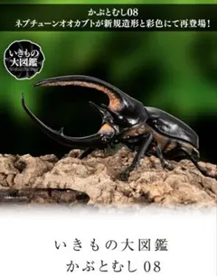 いきもの大図鑑 カブトムシ08 オンライン版 フルコンプセット