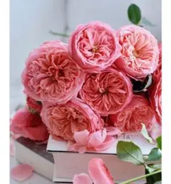 さゆりん様 リクエスト 2点 まとめ商品