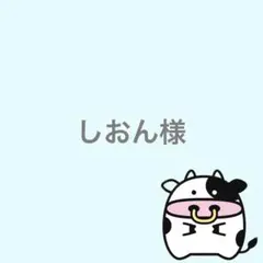 しおん様 リクエスト 4点 まとめ商品