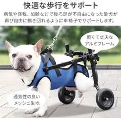 Item thumbnail for item 5b398fbe-43cc-4a56-afe6-31ac2988c149