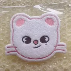 Straykids Skzooサガラ刺繍コースター8枚セット - メルカリ