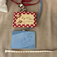 ディズニー パスケース 2点セット ミニー シンデレラ