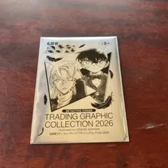 2026年最新】コナントレーディンググラフィックコレクションの人気