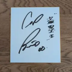 2026年最新】カープサイン色紙の人気アイテム - メルカリ