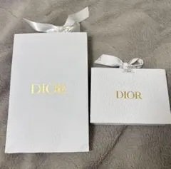 Dior ディオール ショッパー 紙袋 2点セット リボン付き