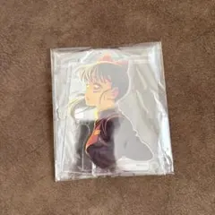 Item thumbnail for item 6fd89ed9-4f04-45a3-951e-3c5fca736013