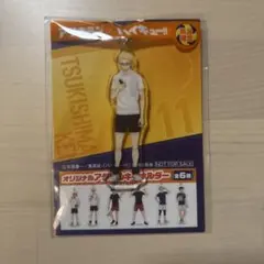 ハイキュー!! 月島蛍 アクリルキーホルダー アリナミン