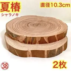 ㊳シャラノキ夏椿　輪切り　コースター　花台　台座　木製プレート　丸太　切り株のサムネイル