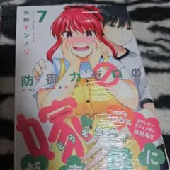 防御力ゼロの嫁 7