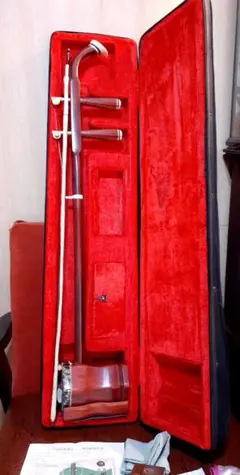 2025年最新】二胡の人気アイテム - メルカリ