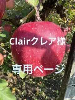 Clairクレア様専用ページ　山形県朝日町和合平　サンふじ
