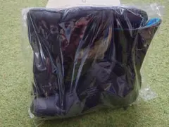 Item thumbnail for item fb4580ca-4d4b-4d97-9afd-1006d92e012a