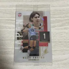 女子バレーボール 日本代表 ウエハース 2026 和田由紀子