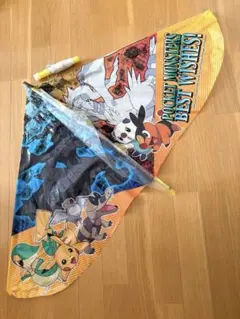 ポケットモンスター カイト