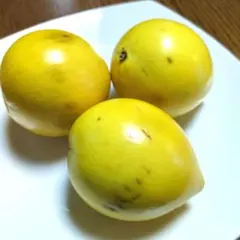 2025年最新】アビウの人気アイテム - メルカリ