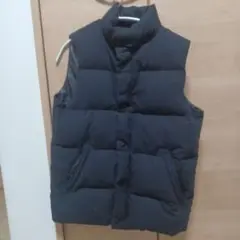 激レア DRESSTERIORダウンベスト ドレステリア