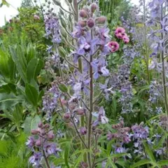 すみれ様 リクエスト 2点 まとめ商品