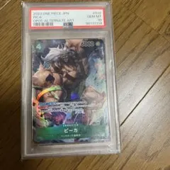 PSA10 ジャック フラッグシップ パラレル 2024年ベスト8記念品 - メルカリ
