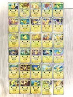 30thピカチュウ 30種セット