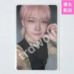 ニコラス トレカ studio