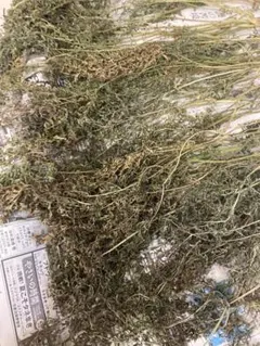 Kaki様 リクエスト 3点 まとめ商品