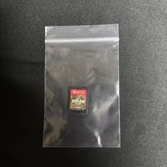 ゼルダの伝説 ティアーズ オブ ザ キングダム