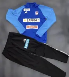 アルビレックス新潟 トレーニングウェア セットアップ 新品 上L 下M