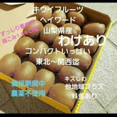 ❇️iキウイフルーツ　　わけあり　小玉　箱いっぱい　コンパクト　山梨県産