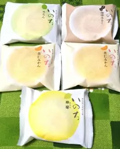⑨いのち　カスタードケーキ　めろん　珈琲みるく　杏仁みかん　れもん　生菓子のサムネイル