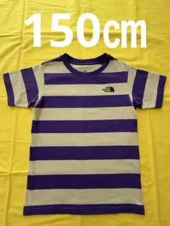 THE NORTH FACE ストライプ Tシャツ 150㎝