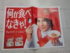 ラウール　Calbeeのフルグラ　チラシ