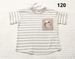 たぬきち様 リクエスト 2点 まとめ商品