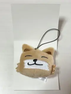 2026年最新】ゼベワンの人気アイテム - メルカリ