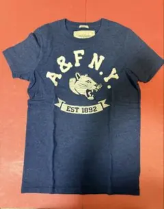 アバクロンビー&フィッチ　メンズTシャツ　Sサイズ