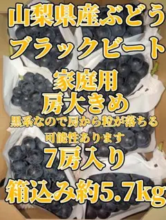 山梨県産】ブラックビート秀品5kg 産地直送 - メルカリ