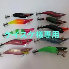 オモリグ用エギ　いろいろ10本セット　【新品未使用】のサムネイル