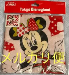 ディズニー　ベリーベリーミニー　ウォッシュタオル