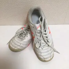 Item thumbnail for item 187d1a07-8989-4fdf-9c2c-f58371146328