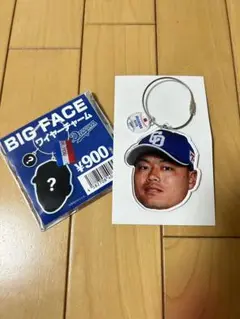 中日ドラゴンズ　細川成也選手 BIG FACE ワイヤーチャーム