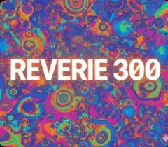 REVERIE 300 10枚 雑貨