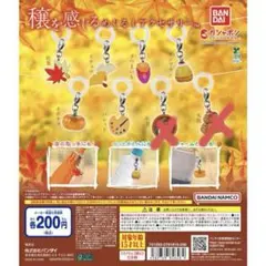 穣を感じるめじるしアクセサリー ガシャポン