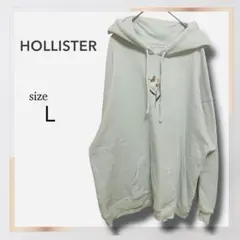 美品 ホリスター Lサイズ バックプリント パーカー ミント フラワー ゆるだぼ